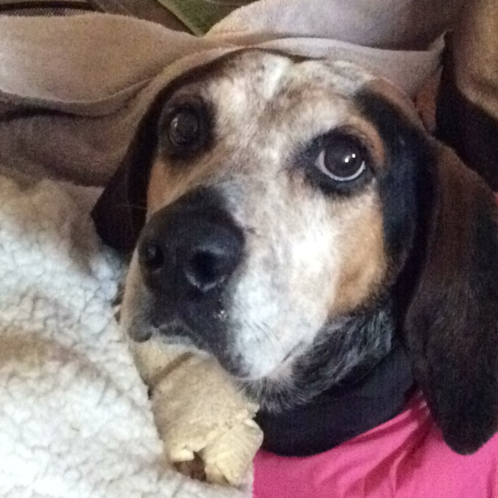 Meet your Posher, Mary